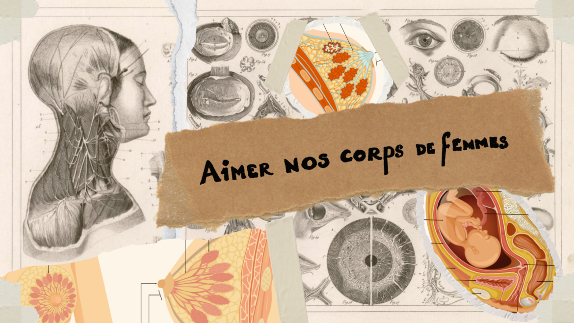 Illustration "Aimer nos corps de femmes"